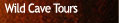 Wild Cave tour