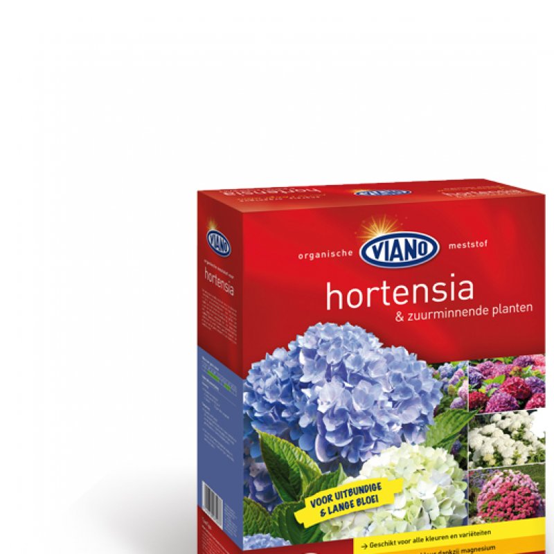 Ingrasamant organic pentru hortensii