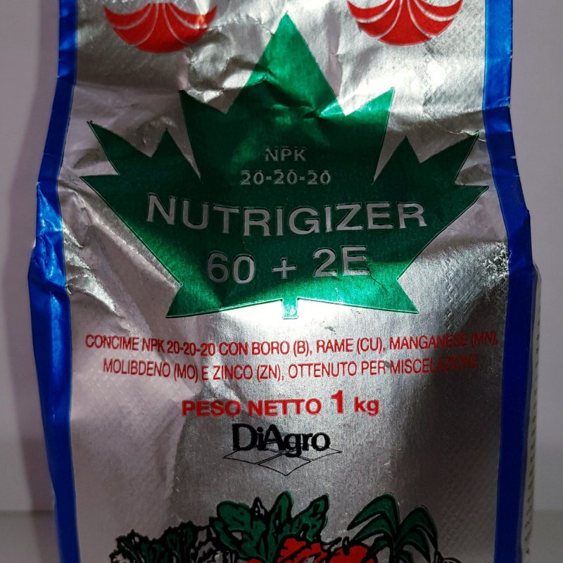 Nutrigizer 60 2E