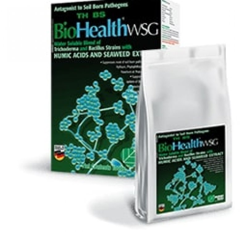 BioHealth TH WSG