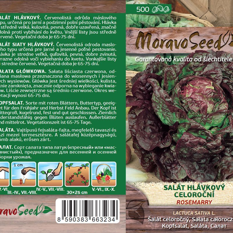 Salata Rosemarry